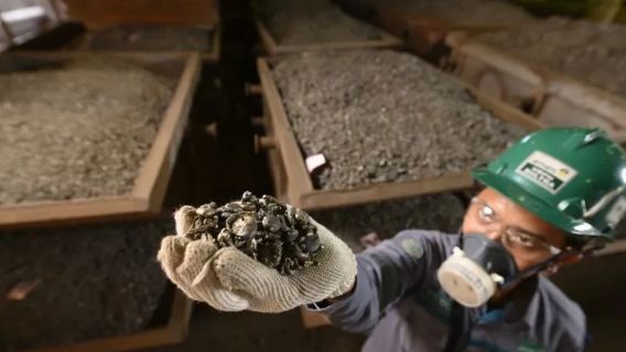 埋蔵量の枯渇により、政府はNPIとフェロニッケルの輸出用蛇口を閉じるよう促された