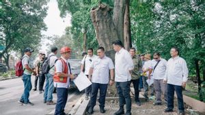 Tak Hanya Dukung Estetika Kota Medan, 1.700 Lampu Jalan Berikan Rasa Aman Sekaligus Minimalisir Tindak Kriminal