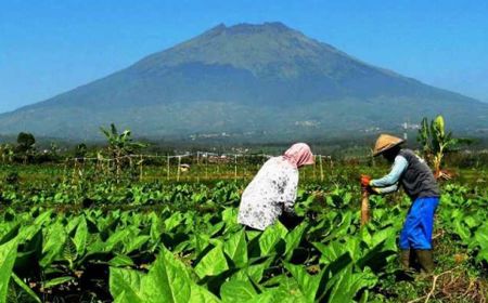 Asosiasi Pelaku Usaha Tembakau Tolak Sejumlah Pasal dalam PP Nomor 28 Tahun 2024