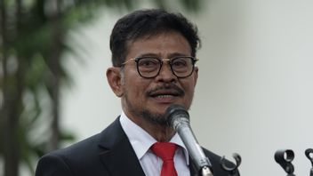 Pak Mentan Syahrul, Kata Pengusaha Tempe Harga Kedelai di Lapangan Masih Mahal Nih