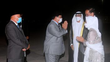 Arriving In Abu Dhabi, Jokowi And Iriana Were Welcomed By Defense Minister Prabowo