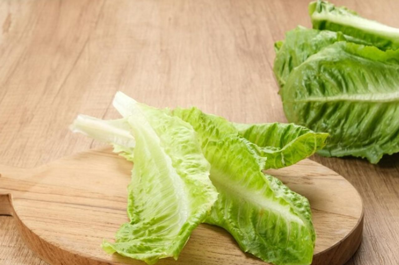 レタスを古く保存して新鮮に保つ方法、不注意にならないでください!