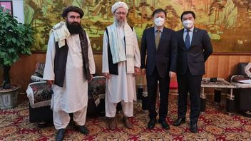 中国驻喀布尔大使与塔利班领导人会晤讨论人道主义援助安全问题