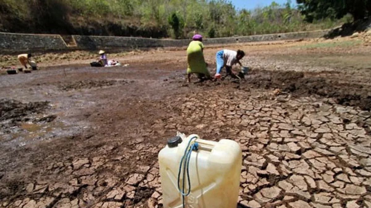 Agustus 2023 Puncak Kemarau di NTB, BMKG Petakan Lombok Timur Masuk Level Awas 