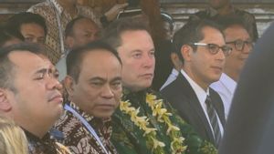 埃隆·马斯克(Elon Musk)在巴厘岛和马鲁古实施Starlink后考虑了在印度尼西亚的投资