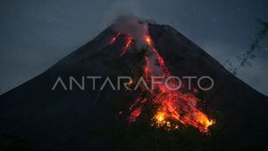 Gunung Merapi Luncurkan 10 Kali Guguran Lava ke Kali Bebeng dan Boyong Pagi Tadi