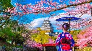 日本被评为世界最佳旅游目的地