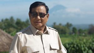 Prabowo Sempat Blusukan ke Rumah Warga Pluit Tergenang Air Laut, Janjikan Penanganan