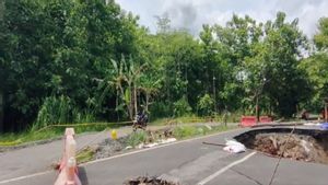 ananas de la route Longsor Sentolo-Nanggulan à Kulon Progo commencent en février 2025