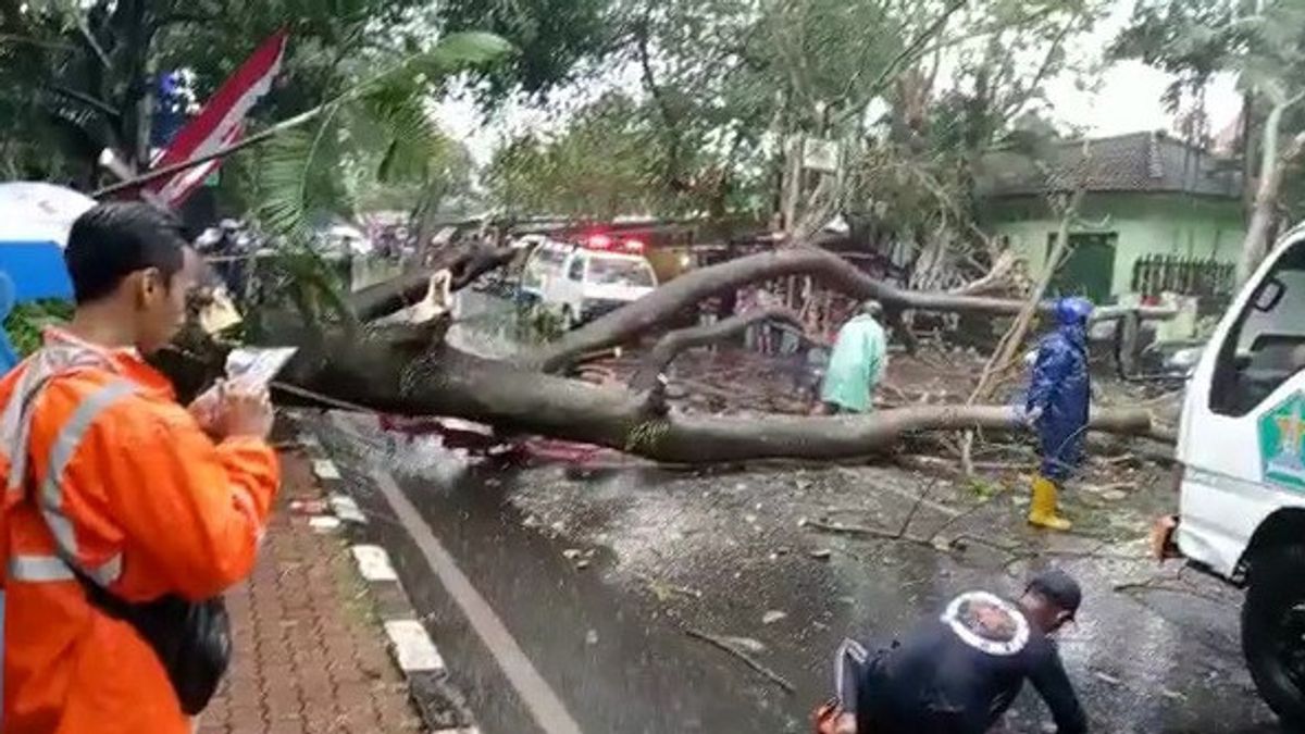 Angin Kencang Terjang Kota Malang, Empat Warga Luka dan 48 Bangunan Rusak