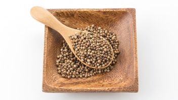 5 Benefits Of Ketumbar Seeds For Body Health