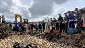 Bea Cukai Bengkalis Musnahkan 19,8 Ton Buah Mangga Asal Malaysia