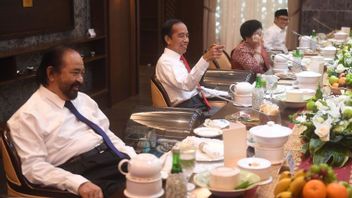 PDIP欢迎Megawati和Surya Paloh会面