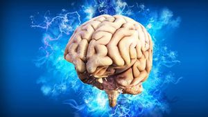 Peneliti Berhasil Identifikasi Sel Waktu di Otak, Penyebab Manusia Mampu Merekam Peristiwa Secara Berurutan