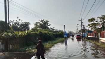 Banjir Rob Terjang Pekalongan, Pemkot Pastikan Pemenuhan Air Bersih