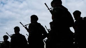 Aksi TNI di Papua: Tiga Anggota OPM Tewas, Senjata SS2 Diamankan