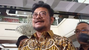 Surya Paloh Sebut Laporan SYL Soal Pemerasan Petinggi KPK untuk Mencari Keadilan