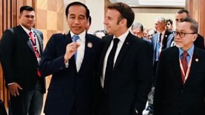 Dirangkul Emmanuel Macron, Jokowi Apresiasi Investasi Prancis di Sektor Strategis Indonesia