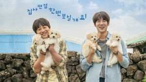 Cha Tae Hyun dan Yoo Yeon Seok Adu Akting Lewat Film <i>My Heart Puppy</i>
