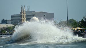 Kecepatan Angin Capai 5-25 Knot Picu Potensi Gelombang Tinggi, BMKG Minta Warga Tidak Beraktivitas di Laut