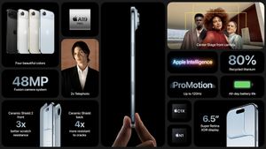 iPhone 17 Terungkap: Layar 120Hz dan Kamera 48MP yang Akan Mengubah Cara Anda Memotret!