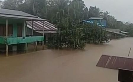 Direndam Banjir 5-6 Meter Selama Sepekan, Warga Desa Asam Jelai Kalbar Terancam Krisis Sembako