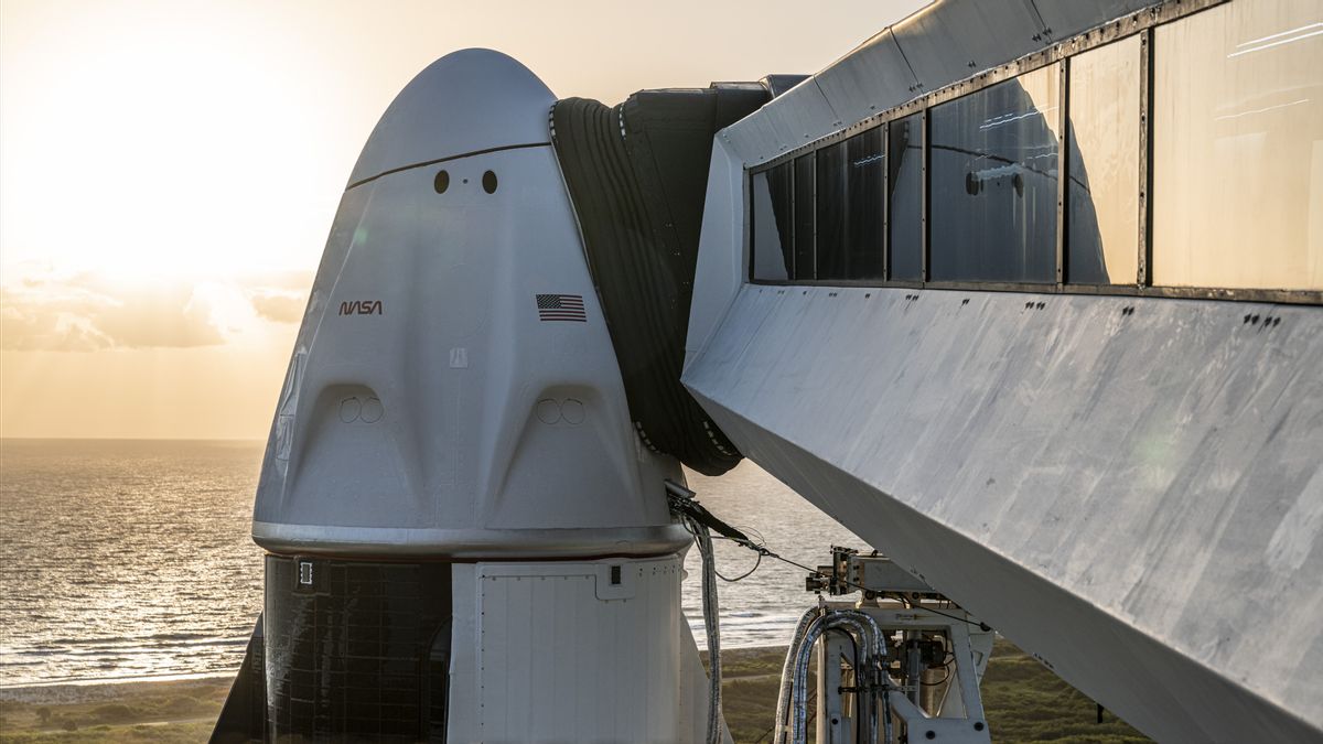 SpaceX向国际空间站发射四名宇航员