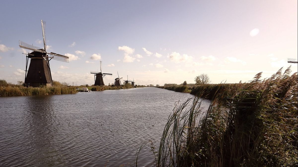 極端な夏、オランダは干ばつによる水不足を発表