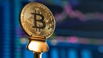 Bitcoin Price Touches IDR 1.1 Billion, Is There A Possibility Of Reaching IDR 1.2 Billion During Halving?