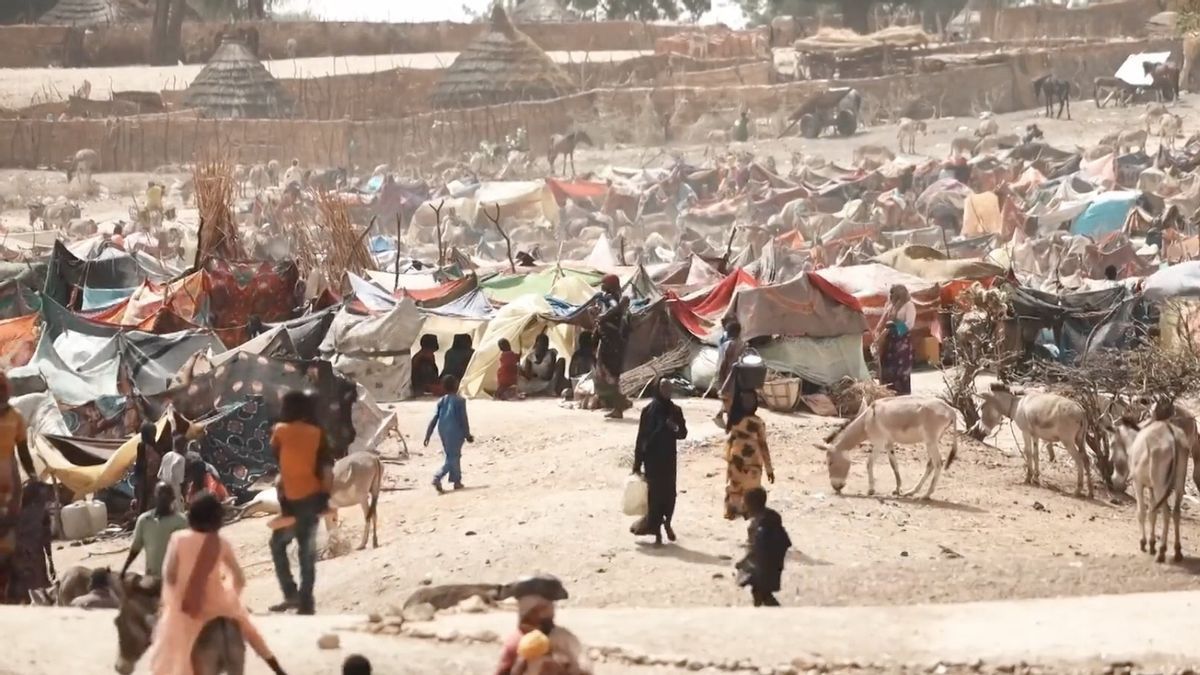 南スーダンで3300万人が食糧援助と人道支援を必要としている
