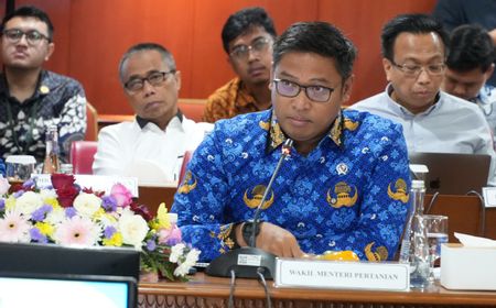 Produksi Padi Tahun Depan Diprediksi Naik, Wamentan Sudaryono Minta Bulog Serap Gabah Petani