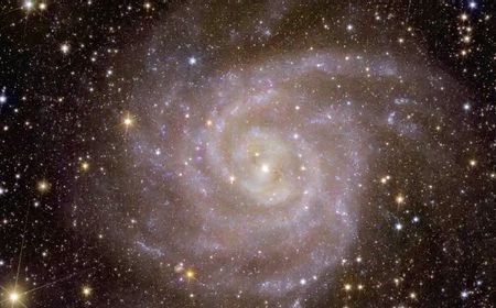 Teleskop Euclid ESA Bertemu Galaksi Spiral Saat Menjelajah