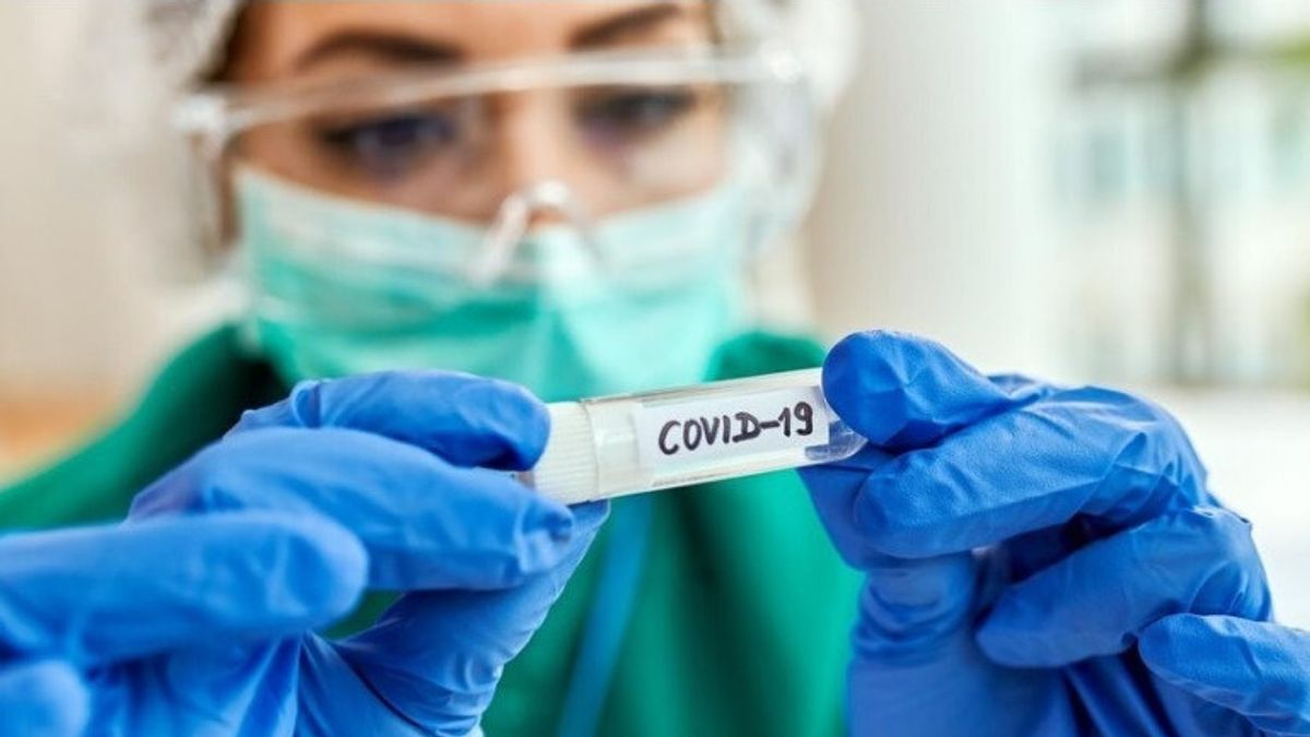 COVID-19ウイルスJN.1サブバリアントは本当にオミクロンよりも強力ですか?