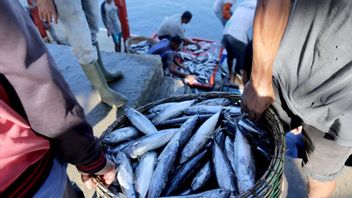 Jepang Desak China Cabut Larangan Impor Hasil Laut