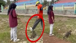 Viral Video Pria Tendang Kucing di Blora Jateng, Pelaku Dijerat KUHP Baru Ancaman 1,6 Tahun Penjara