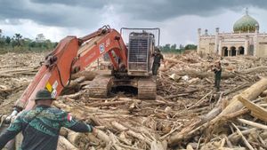 Wamenhut Pastikan Percepatan Pembersihan Kayu Terseret Banjir