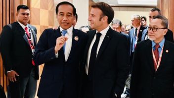 Dirangkul Emmanuel Macron, Jokowi Apresiasi Investasi Prancis di Sektor Strategis Indonesia