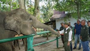 Menhut: Bencana di Sumatera Titik Balik Perbaikan Tata Kelola Hutan