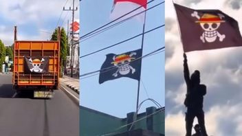 The State Has The Right To Ban The Raising Of The One Piece Flag