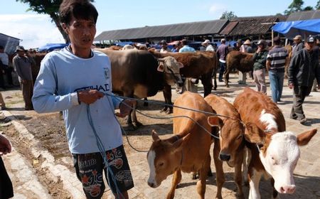 Jelang Idul Adha, CIMB NIaga Syariah Beri Kemudahan Pembelian Hewan Kurban via Aplikasi