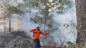 Lahan Semak Taman Wisata Alam Gunung Batur Bukit Payung Terbakar, Pemadaman Terkendala Sulitnya Akses