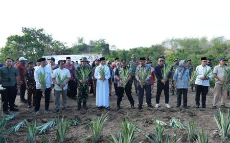 Pesantren As'adiyah Siapkan Lahan 100 Hektare Dukung Pangan Sulsel