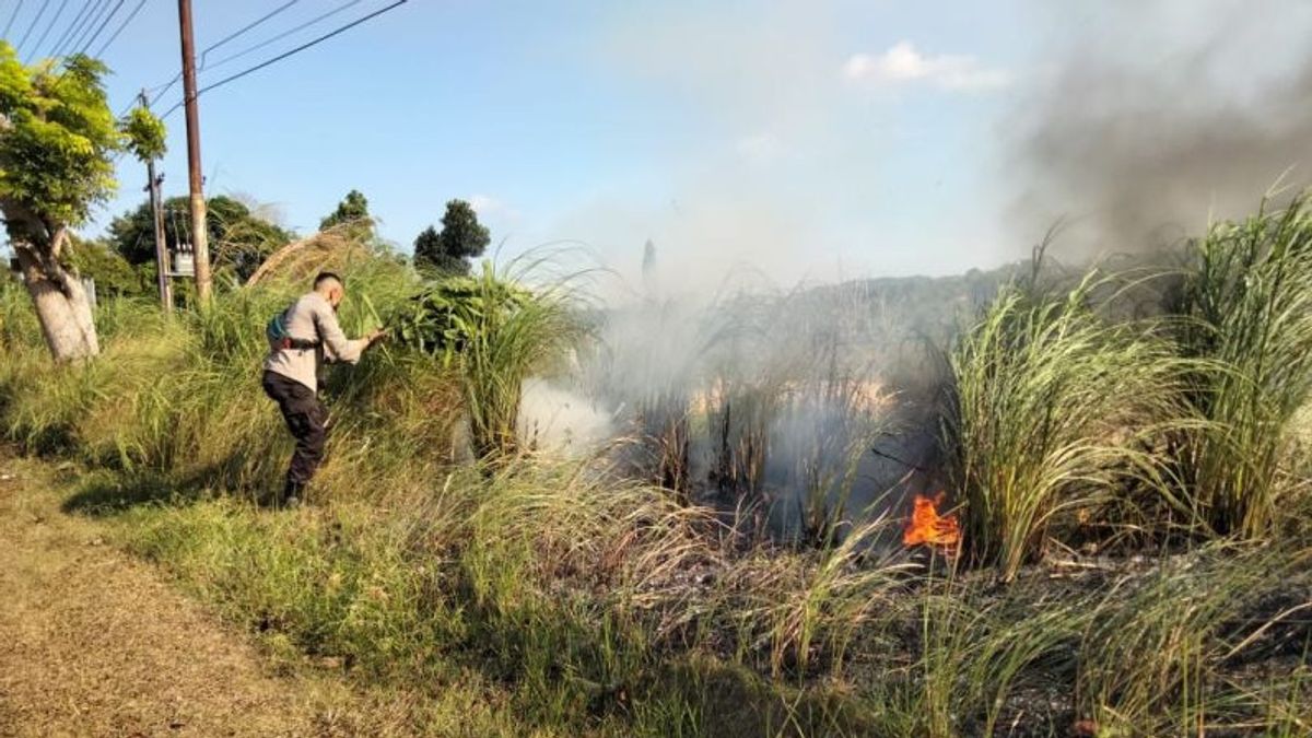 Mobil Damkar Rusak, Kebakaran Hutan di Bintan Dipadamkan Manual