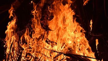    حريق سوق مينجوي بالي ، تفحم 50 كشكا للبائعين