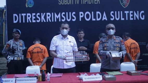 La police de Sulteng fixe 2 suspects chinois d’exploitation minière illégale à Palu