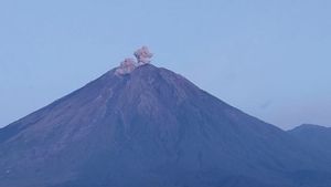    Semeru Erupsi dengan Tinggi Letusan Capai 600 Meter