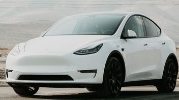 Pengemudi Tesla Model Y Keluhkan Fitur FSD yang Tak Mampu Hindari Tabrakan