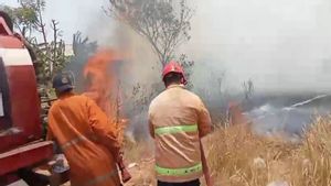 Damkar Lampung Selatan Tangani 4 Kebakaran Lahan