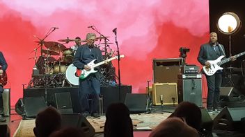 Legenda Blues Eric Clapton Mainkan Gitar Bercorak Bendera Palestina dalam Konser Amal