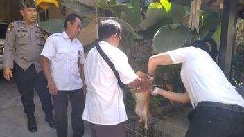 目标2周的Rampung,Distan Mataram接种1,500只狗防止狂犬病和100 Ekor消毒